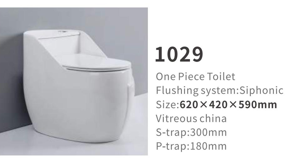 1029